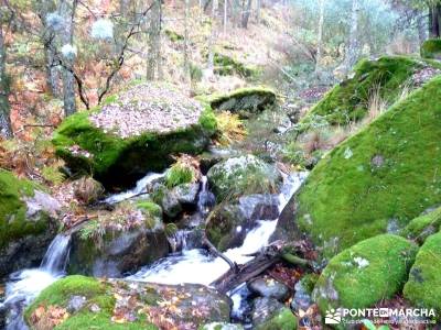 Reserva Natural del Valle de Iruelas;charca verde la pedriza los galayos gredos rutas en madrid 